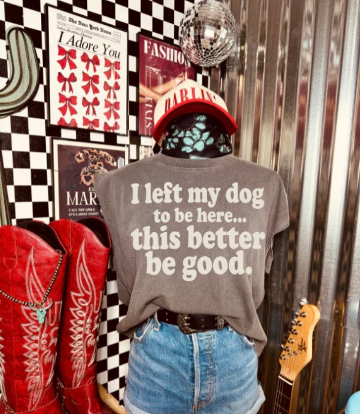 Left My Dog Tee Shirt