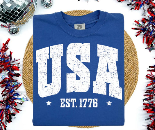 Distressed USA Tee Shirt