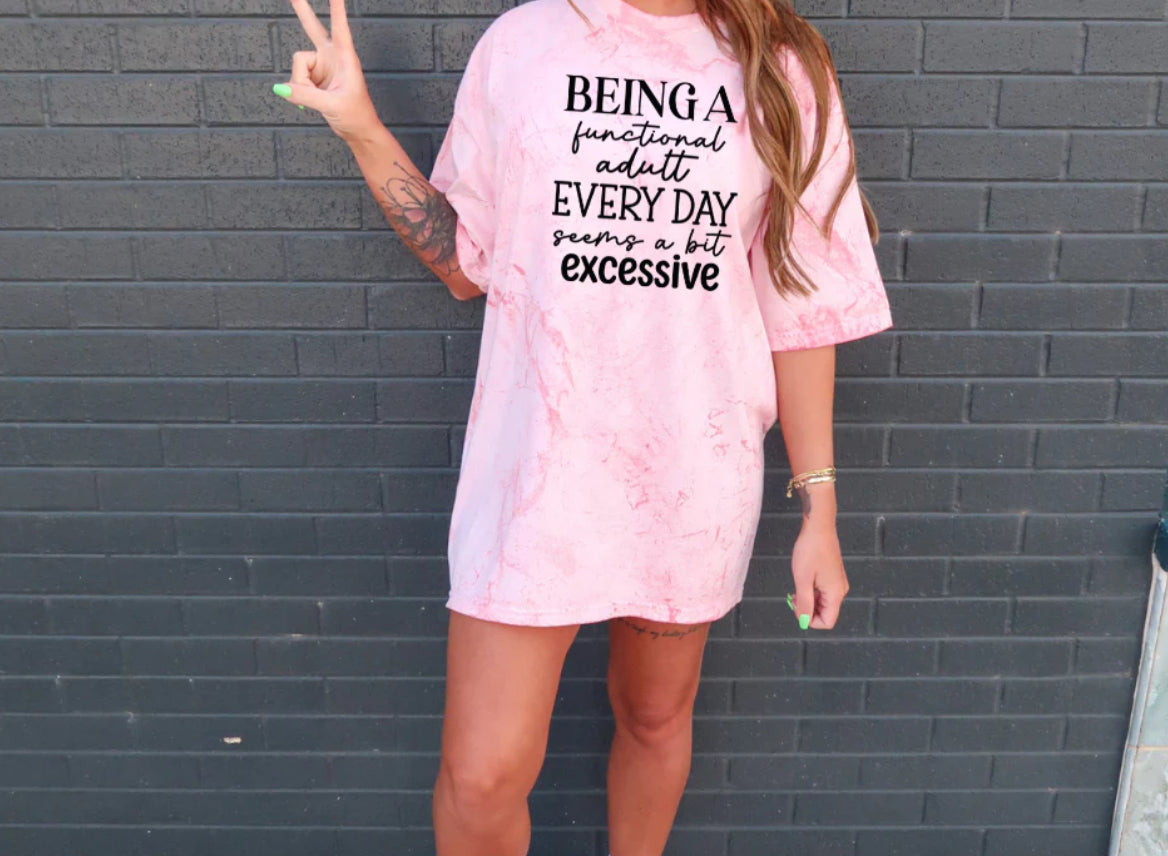 Being a Functional Adult Every Day Seems a Bit Excessive Tee Shirt
